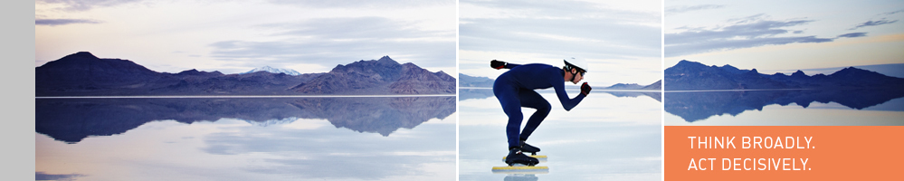 Loomis Sayles Loomis, Sayles & Company