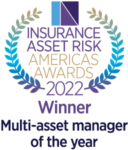 Insurance Asset Risk Award 2022