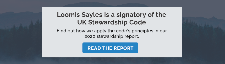 2020 Spotlight Sustainability Report