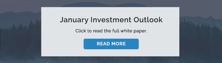 Investment Outlook January