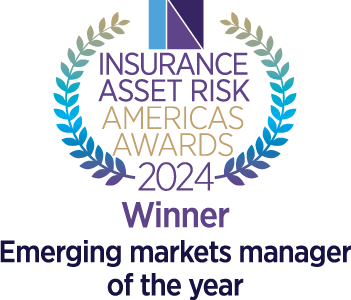 Insurance Asset Risk Awards 2024